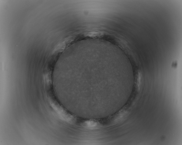 X0000111470272200907201144