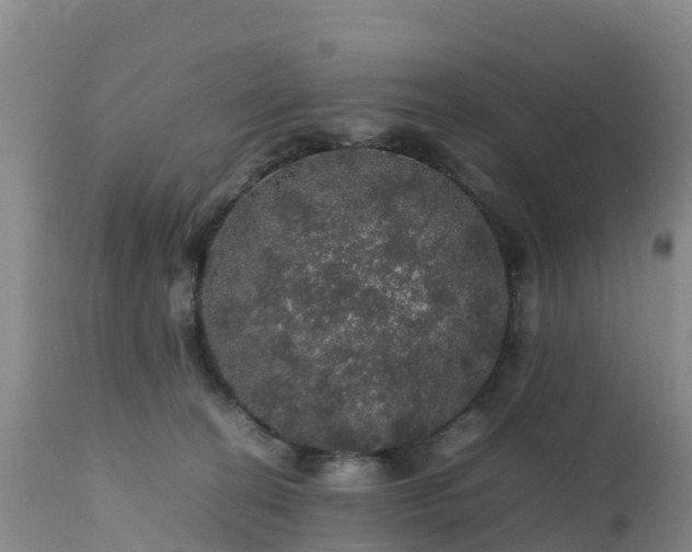 X0000111470274200907201144