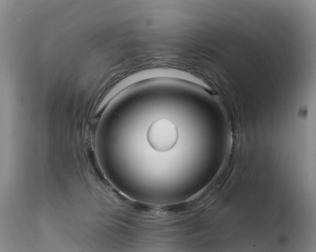 X0000111470276200907201144