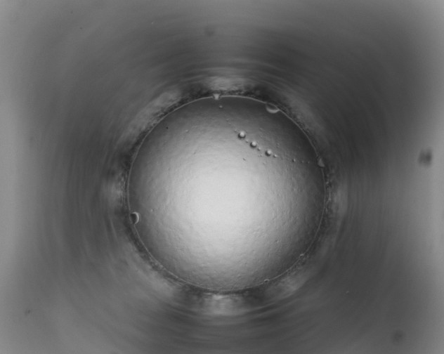 X0000111470277200907201144