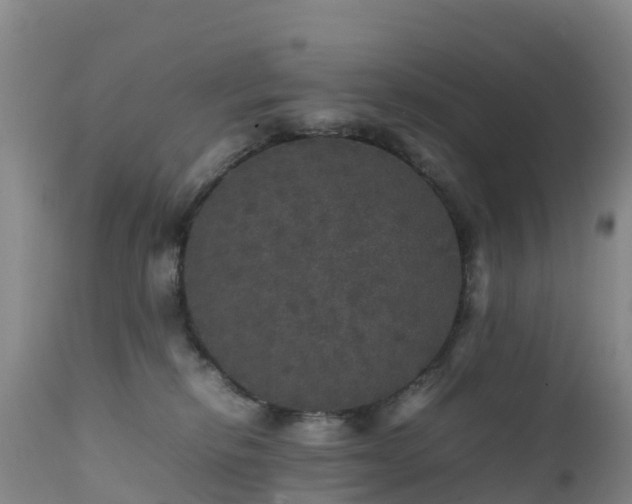 X0000111470278200907201144