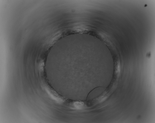 X0000111470279200907201144