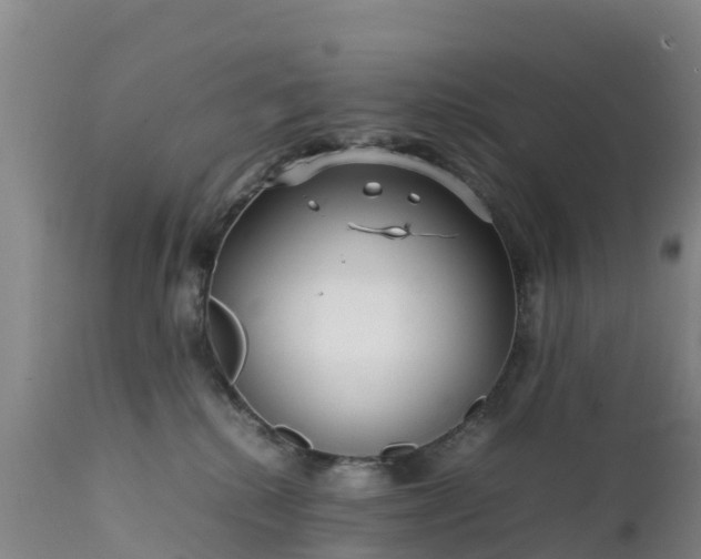 X0000111470280200907201144