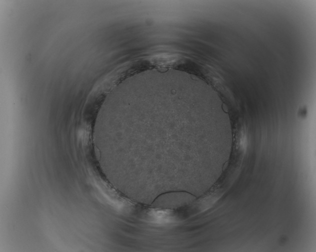 X0000111470283200907201144