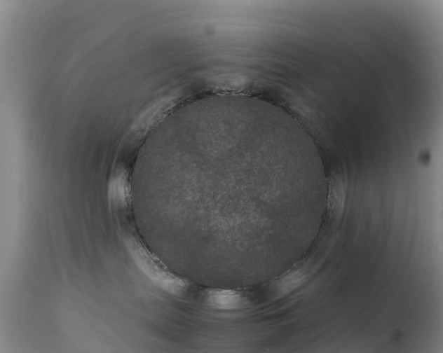 X0000111470287200907201144