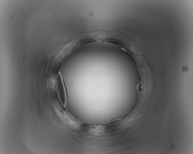 X0000111470288200907201144