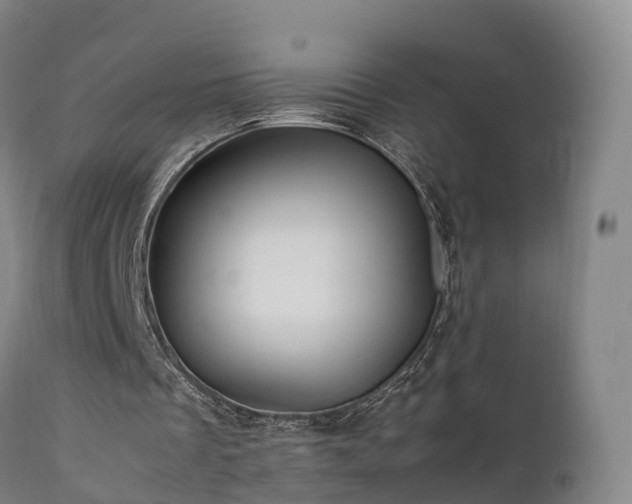 X0000111470289200907201143