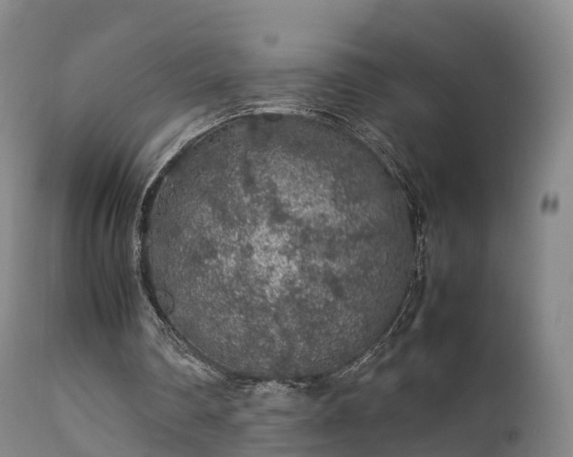 X0000111470290200907201143