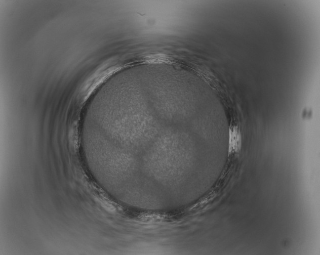 X0000111470291200907201143