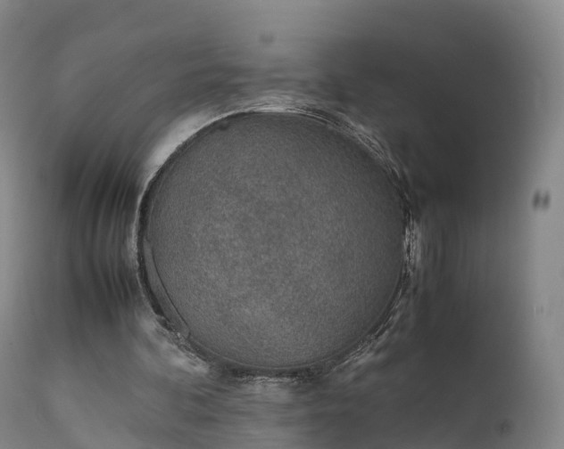 X0000111470292200907201143