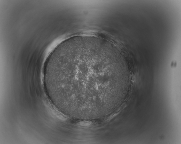 X0000111470294200907201143