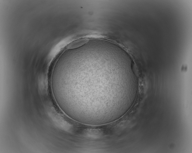 X0000111470296200907201143