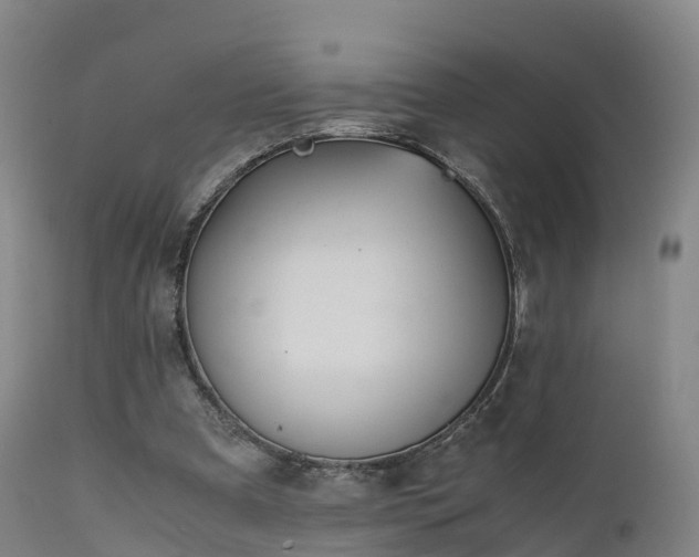 X0000111470297200907201143