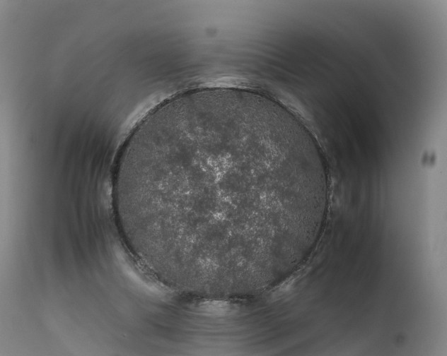 X0000111470298200907201143