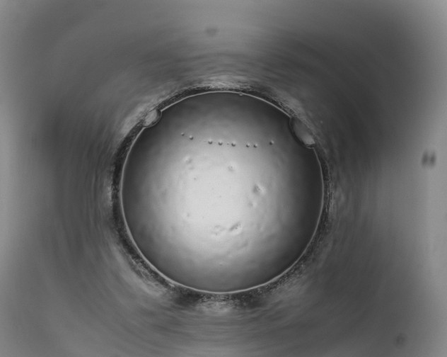 X0000111470299200907201143