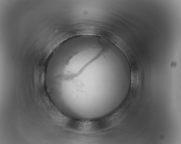 X0000111470301200907201143