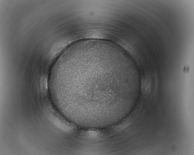 X0000111470302200907201143