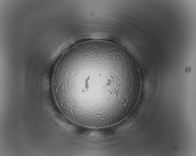 X0000111470303200907201143