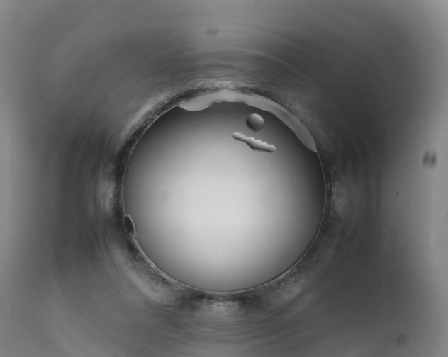 X0000111470304200907201143