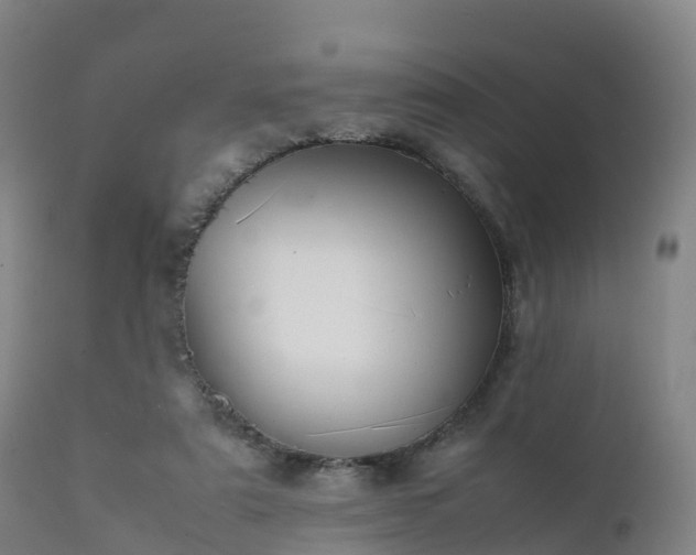 X0000111470307200907201143