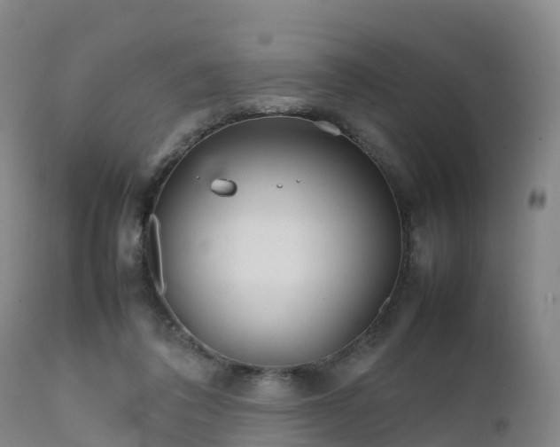 X0000111470308200907201143