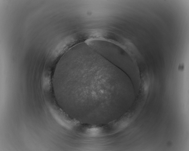 X0000111470312200907201143