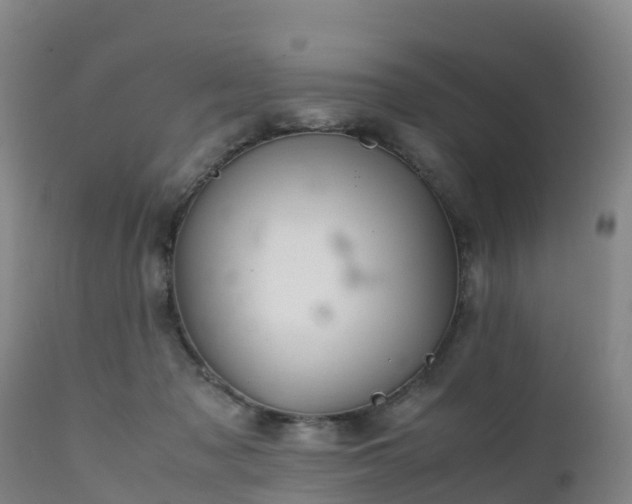 X0000111470317200907201143