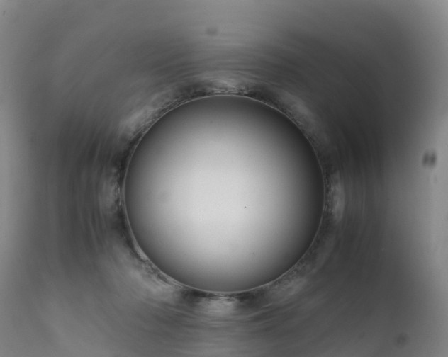 X0000111470318200907201143