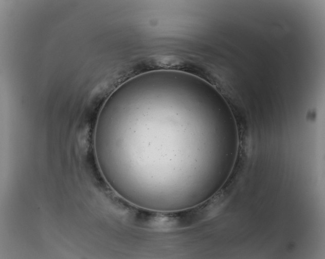 X0000111470319200907201143