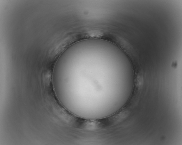 X0000111470321200907201143