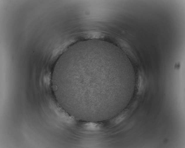 X0000111470326200907201143