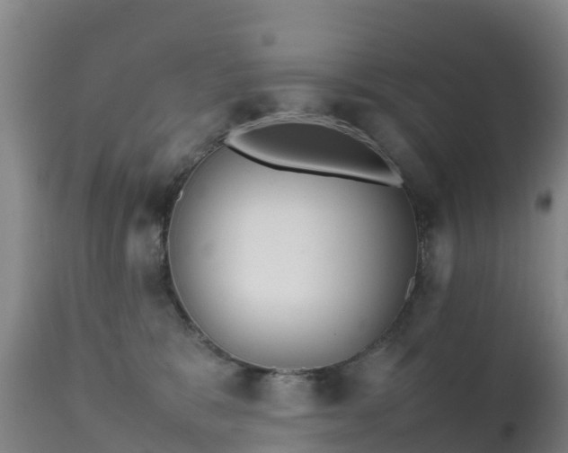 X0000111470327200907201143