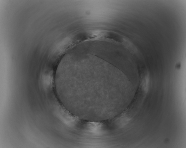 X0000111470328200907201143