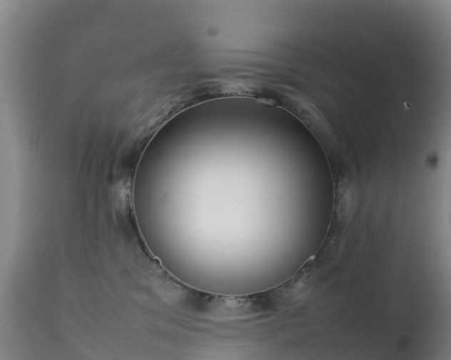 X0000111470329200907201143