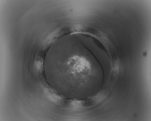 X0000111470332200907201143