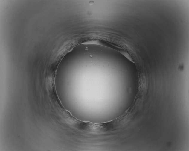 X0000111470333200907201143