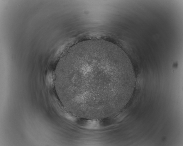 X0000111470335200907201143