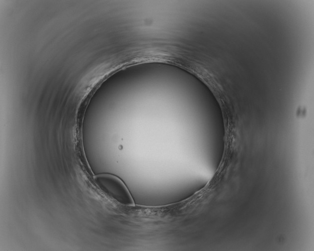 X0000111470338200907201142