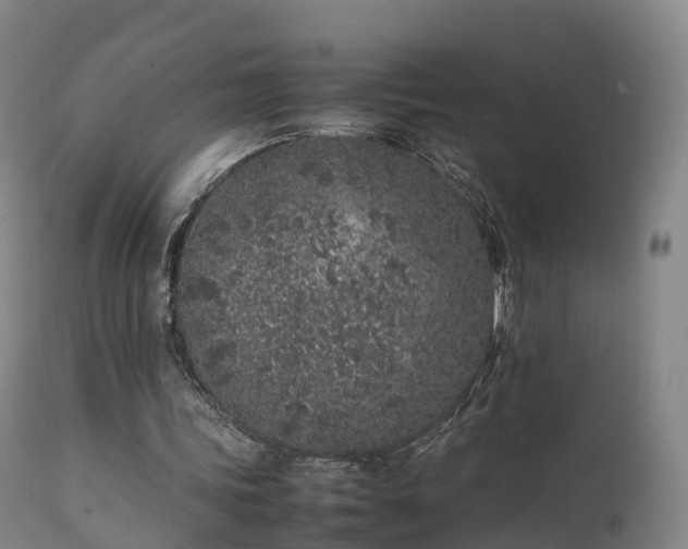 X0000111470339200907201142