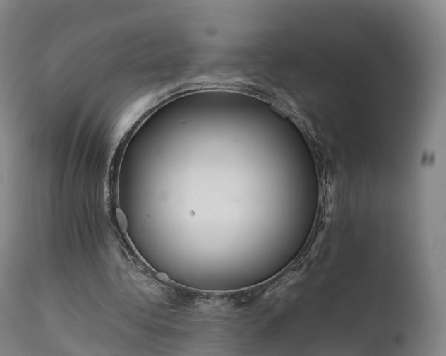 X0000111470340200907201142