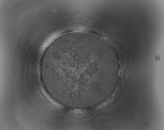 X0000111470341200907201142