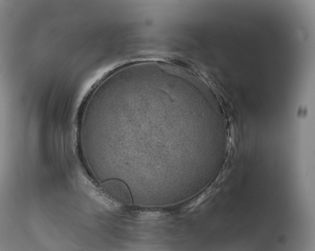 X0000111470342200907201142