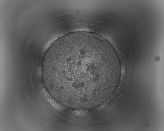 X0000111470345200907201142