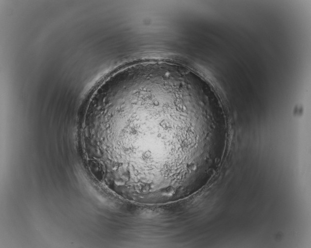 X0000111470346200907201142