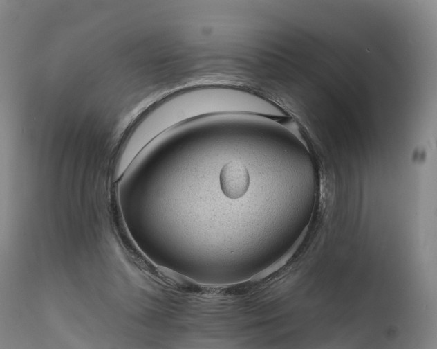 X0000111470348200907201142