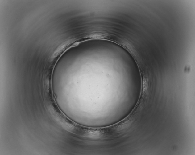 X0000111470349200907201142