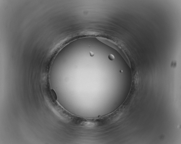 X0000111470352200907201142