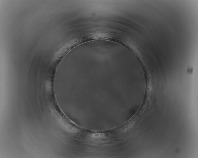 X0000111470353200907201142