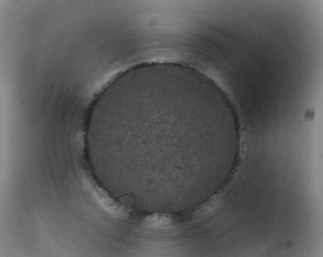 X0000111470354200907201142