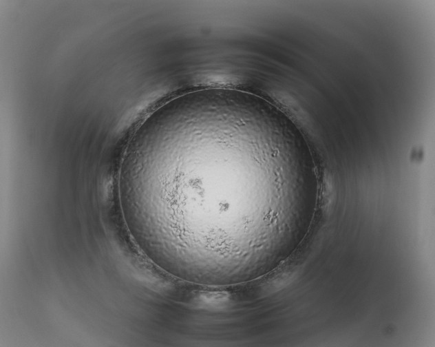 X0000111470355200907201142